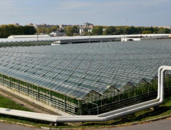 СХПК «Комбинат «Тепличный».